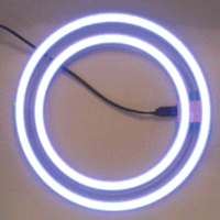 Electro Luminescent Identity Disc for Tron Costume
