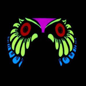 EL Glowing sound activated owl mask