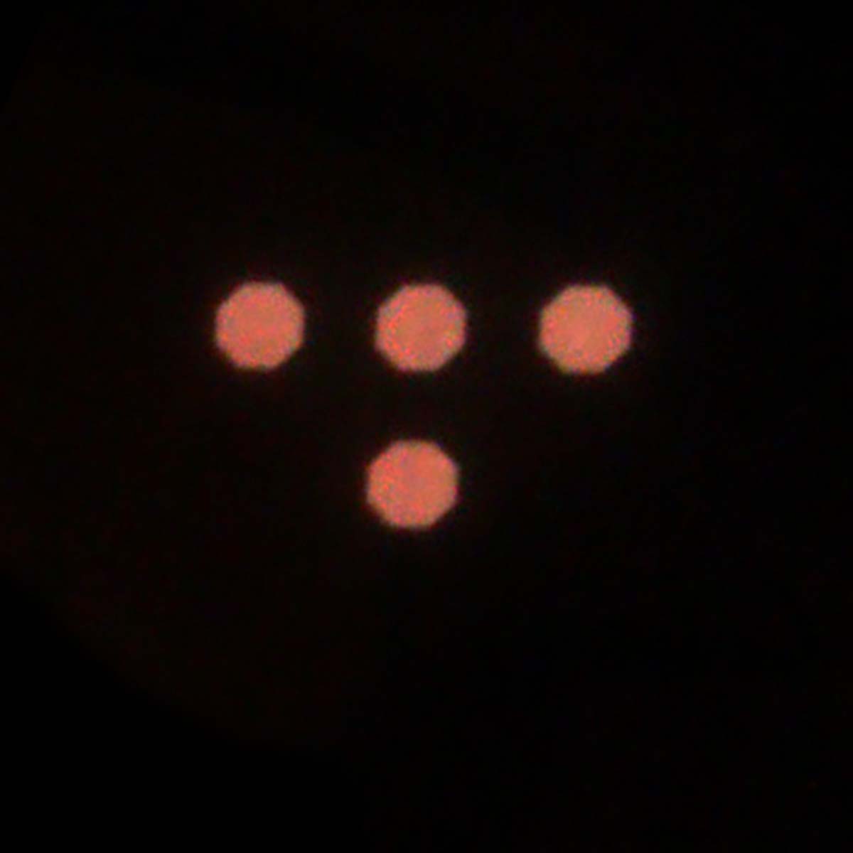 T-Square Shape for Rinzler